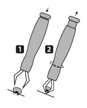 Preview: Zeckenzange
